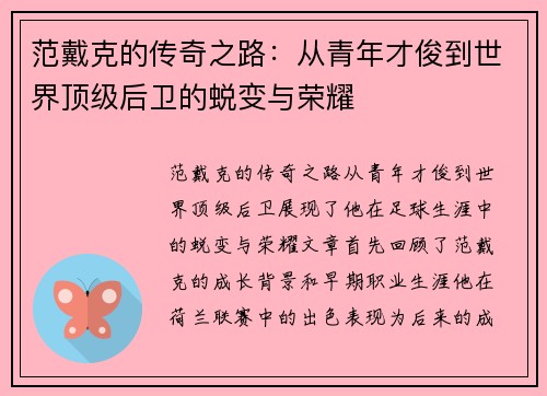范戴克的传奇之路：从青年才俊到世界顶级后卫的蜕变与荣耀